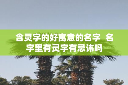 含灵字的好寓意的名字  名字里有灵字有忌讳吗
