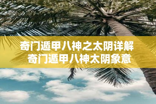 奇门遁甲八神之太阴详解  奇门遁甲八神太阴象意