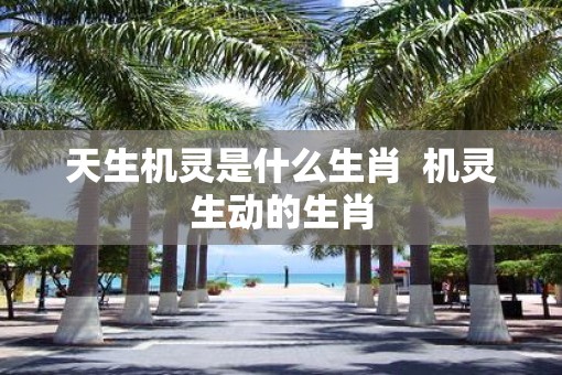 天生机灵是什么生肖  机灵生动的生肖