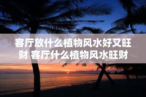 客厅放什么植物风水好又旺财 客厅什么植物风水旺财