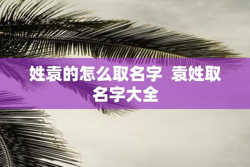 姓袁的怎么取名字  袁姓取名字大全