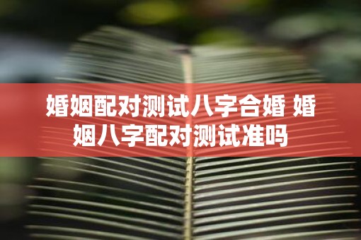 婚姻配对测试八字合婚 婚姻八字配对测试准吗