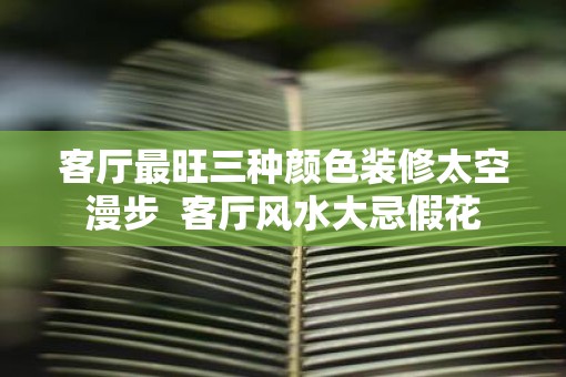 客厅最旺三种颜色装修太空漫步  客厅风水大忌假花