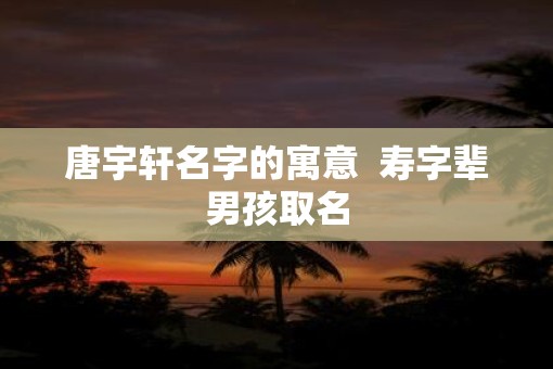 唐宇轩名字的寓意  寿字辈男孩取名