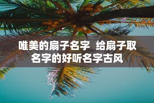 唯美的扇子名字  给扇子取名字的好听名字古风