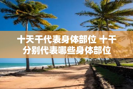 十天干代表身体部位 十干分别代表哪些身体部位