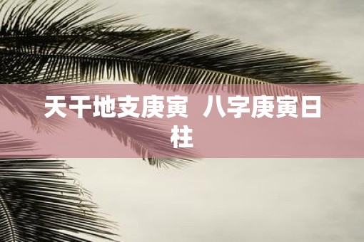 天干地支庚寅  八字庚寅日柱