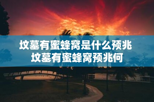 坟墓有蜜蜂窝是什么预兆 坟墓有蜜蜂窝预兆何