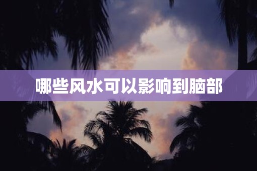 哪些风水可以影响到脑部