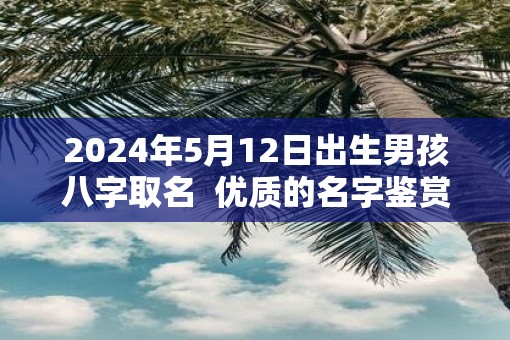 2025年5月12日出生男孩八字取名  优质的名字鉴赏