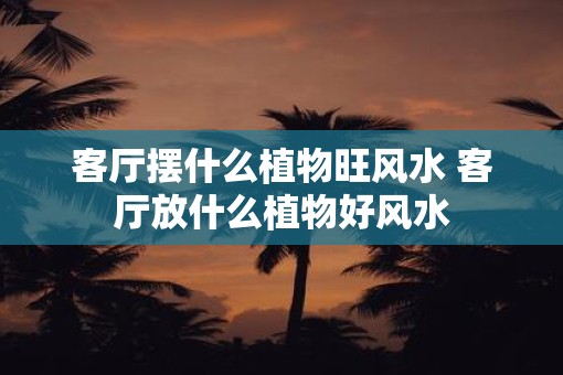 客厅摆什么植物旺风水 客厅放什么植物好风水