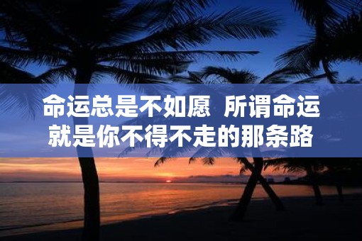 命运总是不如愿  所谓命运就是你不得不走的那条路