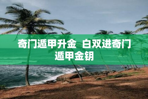 奇门遁甲升金  白双进奇门遁甲金钥