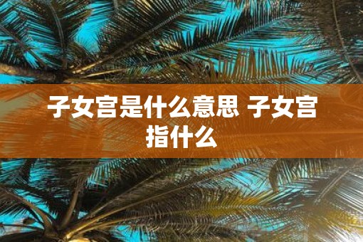 子女宫是什么意思 子女宫指什么