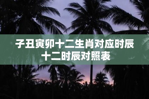 子丑寅卯十二生肖对应时辰 十二时辰对照表