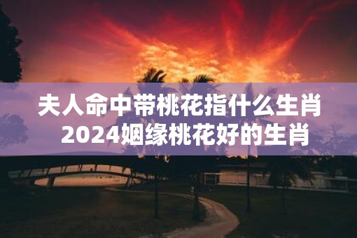 夫人命中带桃花指什么生肖  2025姻缘桃花好的生肖