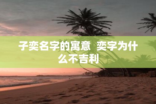 子奕名字的寓意  奕字为什么不吉利