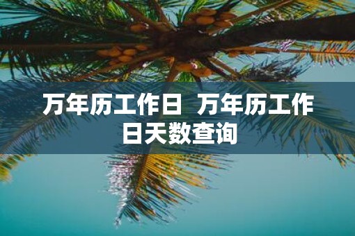 万年历工作日  万年历工作日天数查询