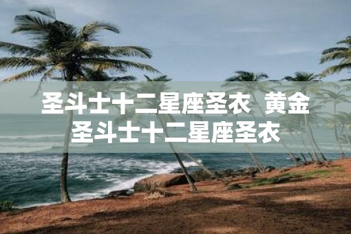 圣斗士十二星座圣衣  黄金圣斗士十二星座圣衣
