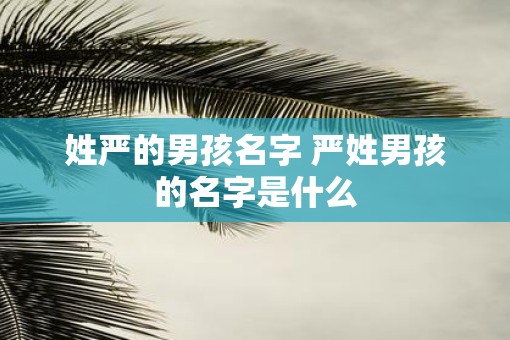 姓严的男孩名字 严姓男孩的名字是什么