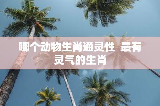 哪个动物生肖通灵性  最有灵气的生肖