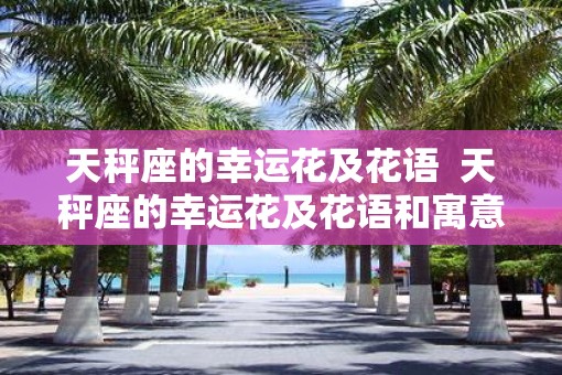 天秤座的幸运花及花语  天秤座的幸运花及花语和寓意