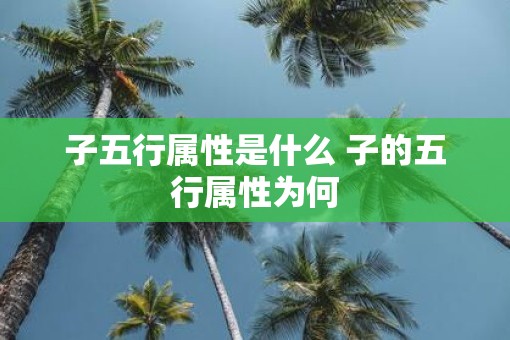 子五行属性是什么 子的五行属性为何