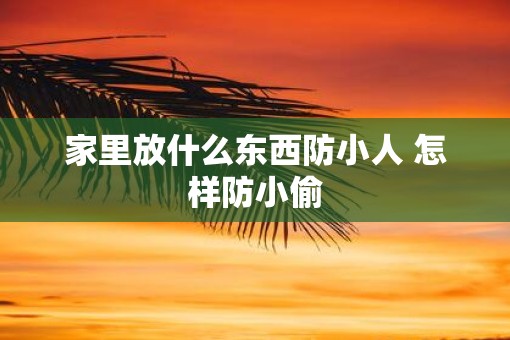 家里放什么东西防小人 怎样防小偷
