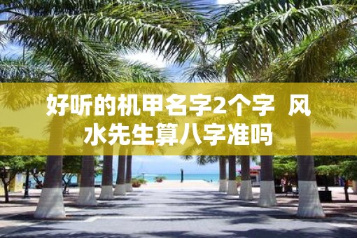 好听的机甲名字2个字  风水先生算八字准吗