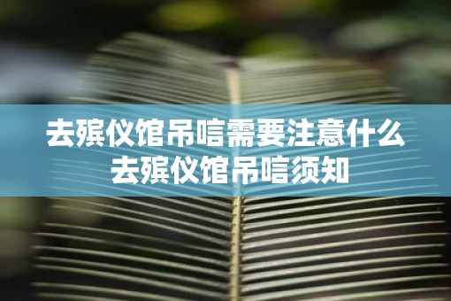 去殡仪馆吊唁需要注意什么 去殡仪馆吊唁须知