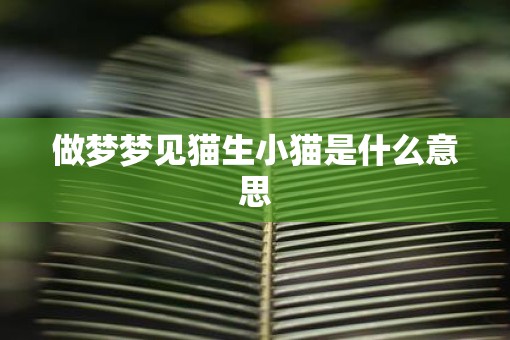 做梦梦见猫生小猫是什么意思