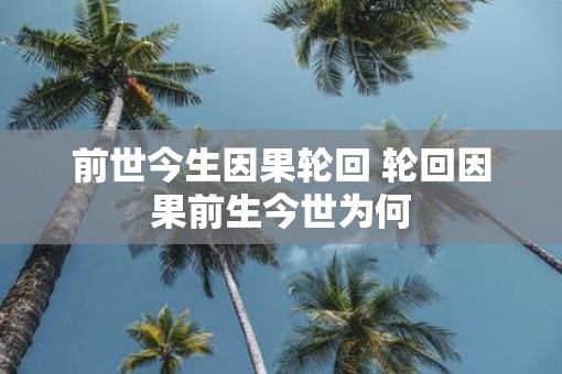 前世今生因果轮回 轮回因果前生今世为何