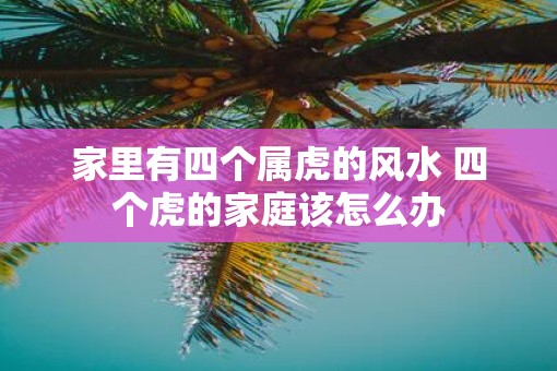 家里有四个属虎的风水 四个虎的家庭该怎么办