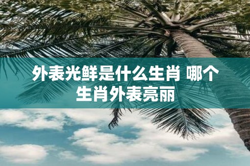 外表光鲜是什么生肖 哪个生肖外表亮丽