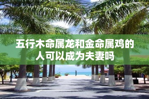 五行木命属龙和金命属鸡的人可以成为夫妻吗