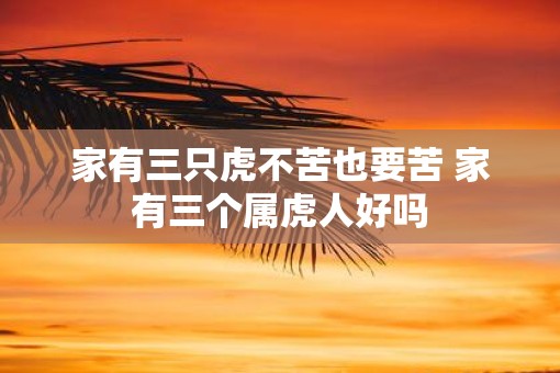家有三只虎不苦也要苦 家有三个属虎人好吗