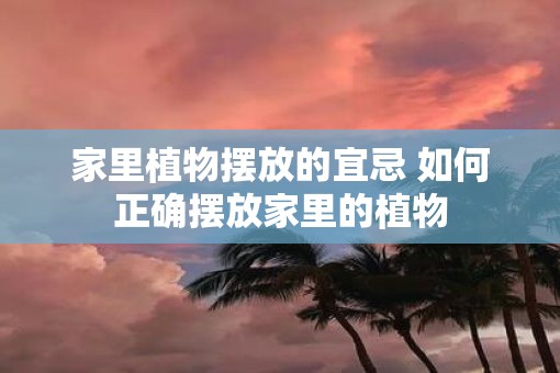 家里植物摆放的宜忌 如何正确摆放家里的植物