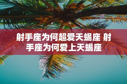 射手座为何超爱天蝎座 射手座为何爱上天蝎座