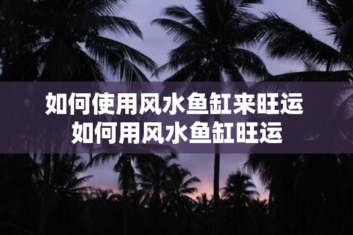如何使用风水鱼缸来旺运 如何用风水鱼缸旺运