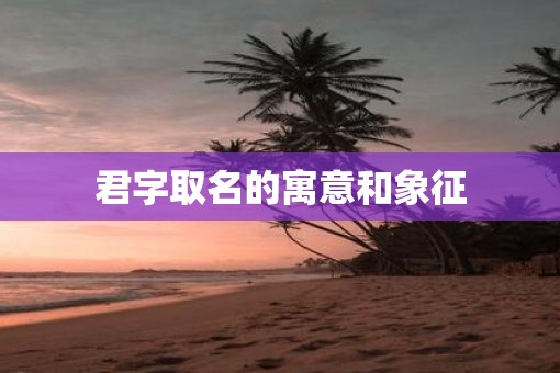 君字取名的寓意和象征