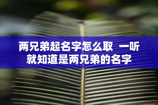 两兄弟起名字怎么取  一听就知道是两兄弟的名字