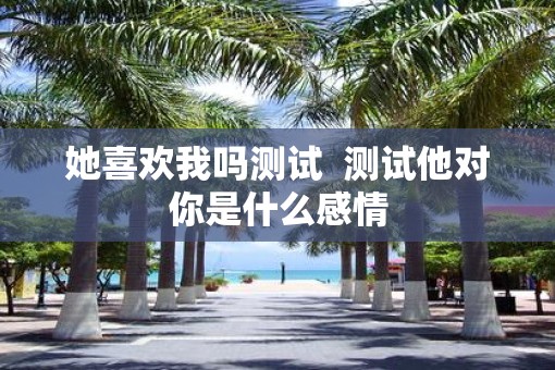 她喜欢我吗测试  测试他对你是什么感情