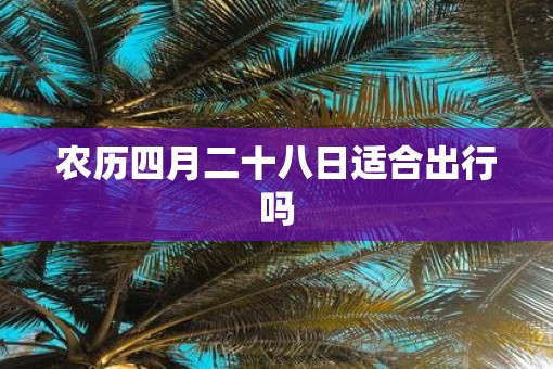 农历四月二十八日适合出行吗