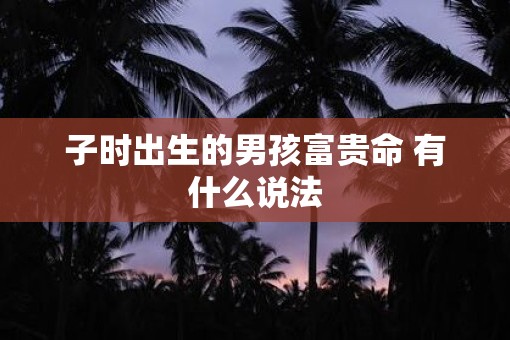 子时出生的男孩富贵命 有什么说法