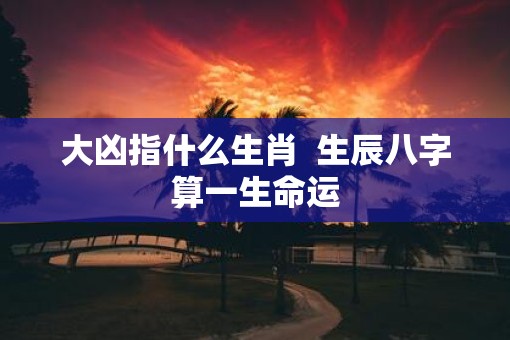 大凶指什么生肖  生辰八字算一生命运