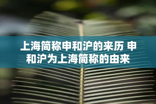 上海简称申和沪的来历 申和沪为上海简称的由来
