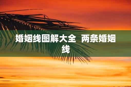 婚姻线图解大全  两条婚姻线