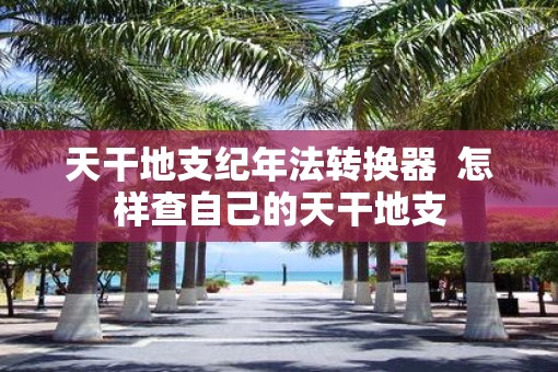 天干地支纪年法转换器  怎样查自己的天干地支