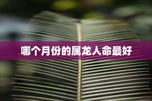哪个月份的属龙人命最好