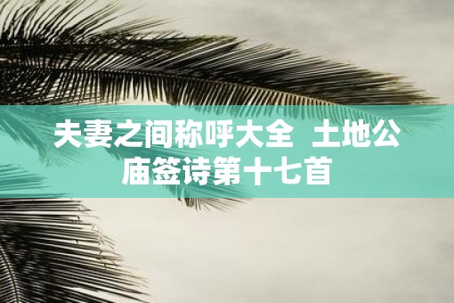 夫妻之间称呼大全  土地公庙签诗第十七首